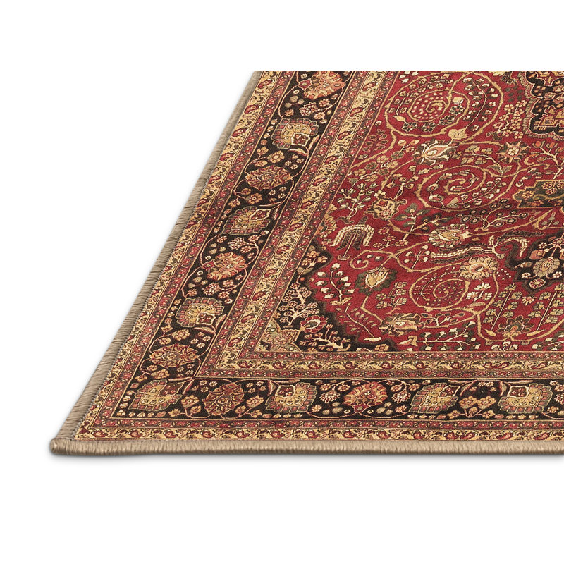 Tapis brun traditionnel Traditional 4093, Rectangle de 5 pi x 8 pi