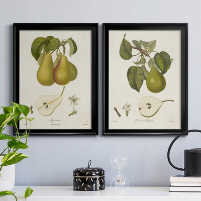 Vintage Pears V - 2 Piece Single Picture Frame Print Set on Canvas