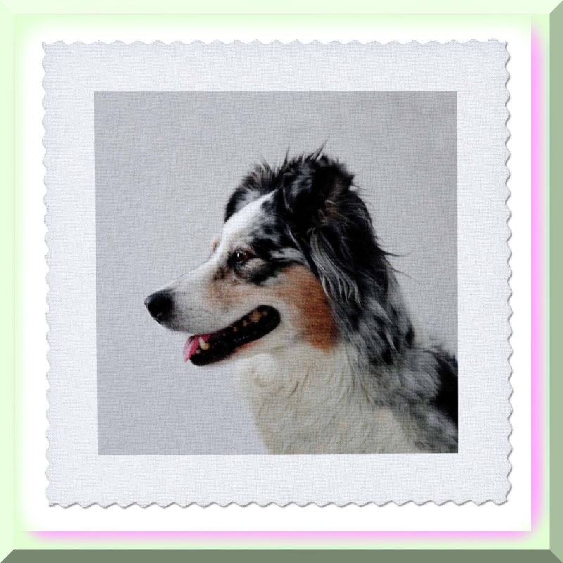 Aussie Paws Patchwork Australian Shepherd Quilt Square