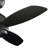 Vassar 52'' Ceiling Fan with LED Lights