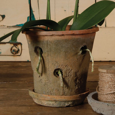 Almandine Orchid Pot
