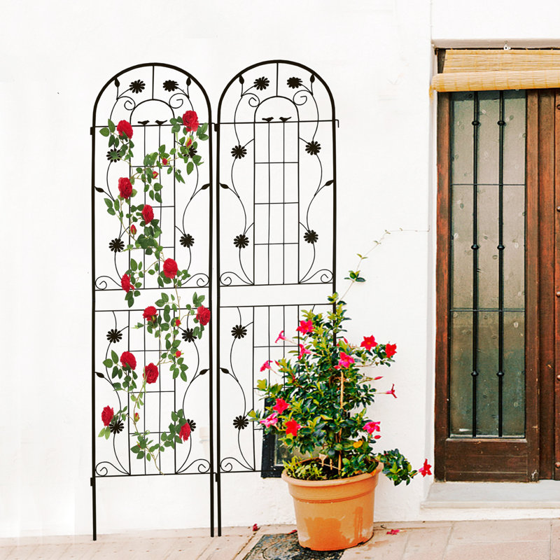 Ensemble de 2 treillis en métal antirouille de 86,7 po x 19,7 po, support à fleurs pour vignes de gloire du matin, noir, assemblage facile, paquet de fer de 19,7 po, raisin, haricots, simple