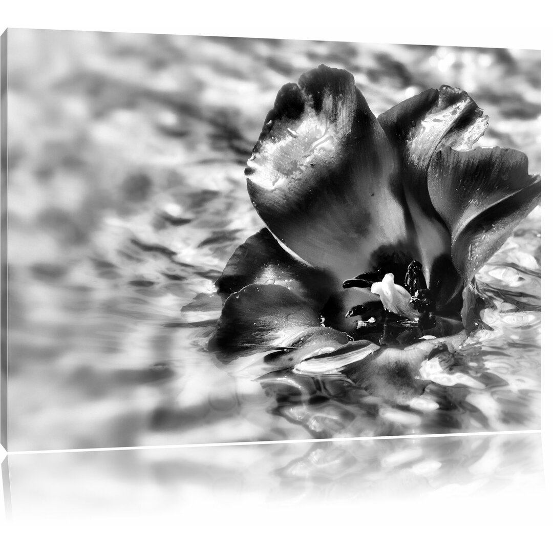 Leinwandbild Kleine Mohnblüte im Wasser in Monochrom