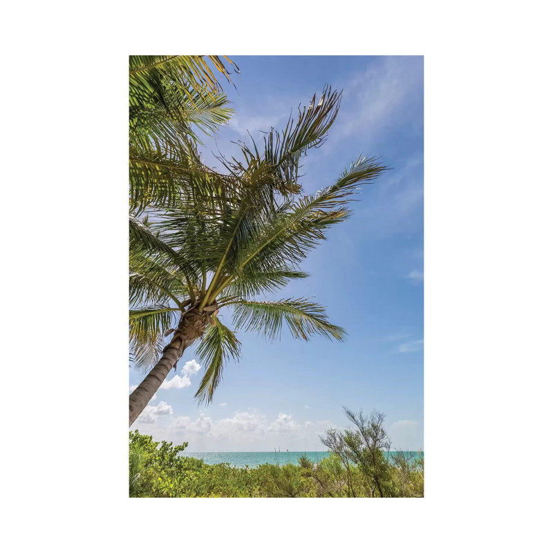 Ocean Breeze by Melanie Viola - Wrapped Canvas Print, 20.32 cm H x 30.48 cm W