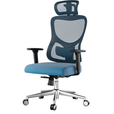 Ergonomic Mesh Reclining Chair With 3d And Adjustable Lumbar For Long - Sitting In Office Black & Navy Comfortable Desk Design, Head Home