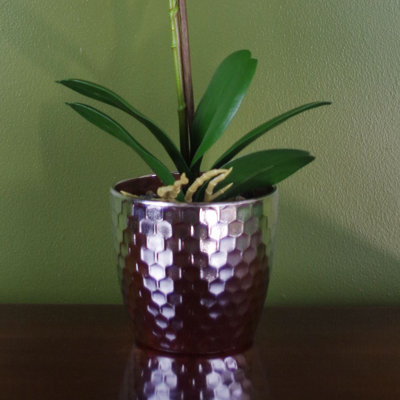 Plastic, Silk Artificial Arrangement in Pot
