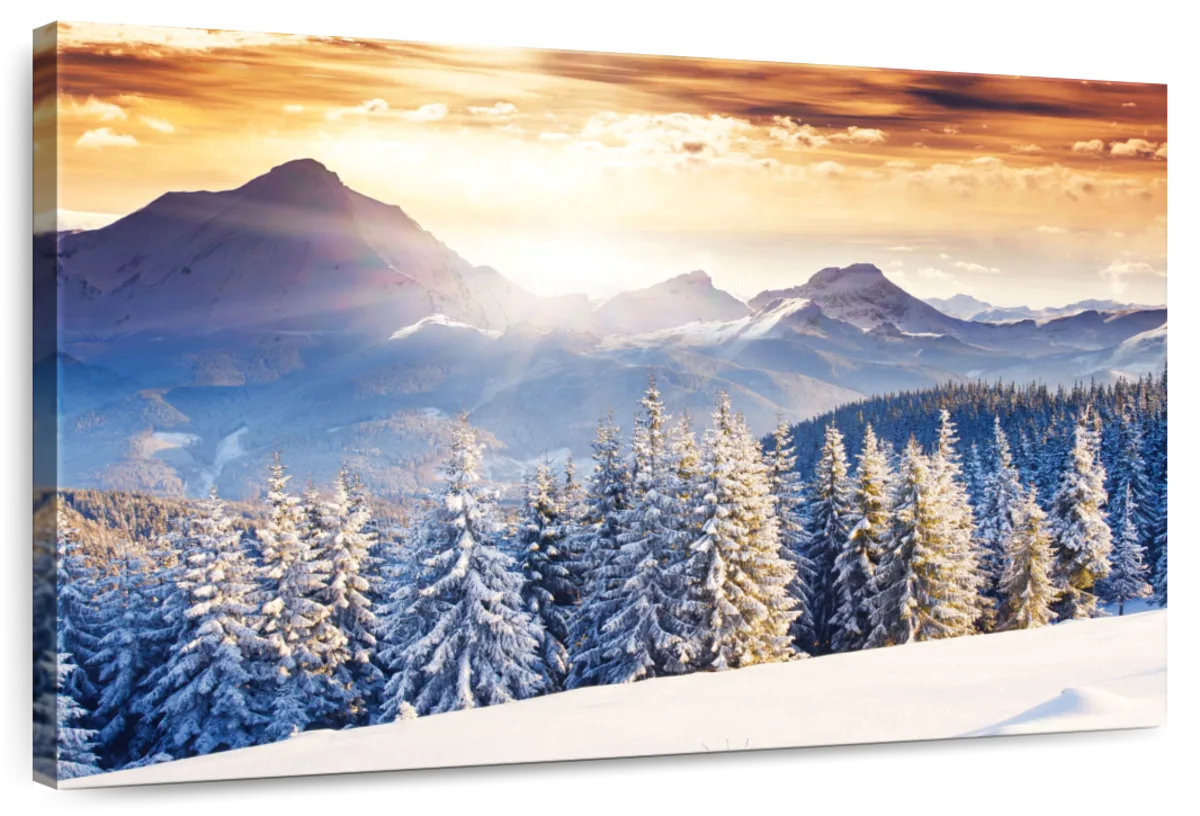 Millwood Pines Alvord Austrian Winter Landscape At Sunset | Wayfair