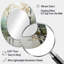 Miroir mural Birch Woods Ethereal Elegance IV - Traditional-977523580
