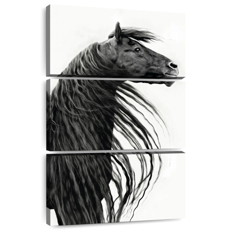 Portrait de cheval noir et blanc II