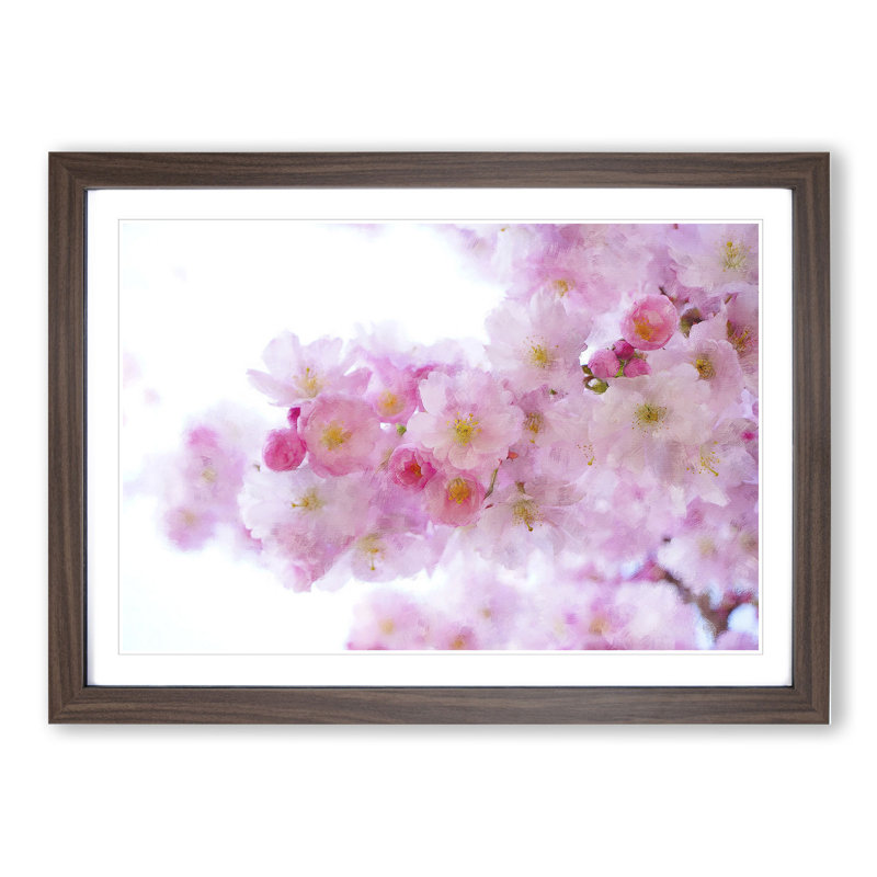 Pink Cherry Blossom Flowers Vol.11 - Framed Print, 27cm H x 36cm W x 2cm D, Walnut Framed