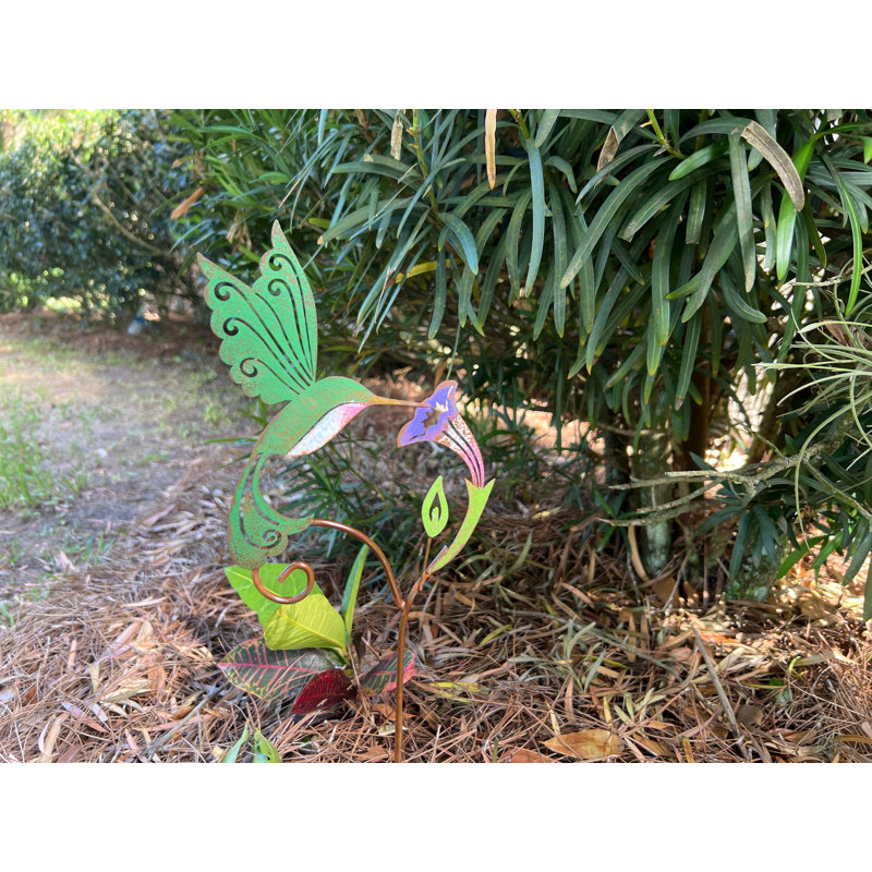 Colibri avec choix de fleurs 24