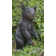 Bear Cub Standing Statue