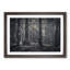 Pine Tree Forest - Picture Frame Graphic Art Print-55731972-55731973