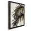 Palmier II - cadre photo, impression sur toile-61317205-61317210