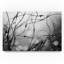 «B and W andentre», impression sur toile-32714520-32714526-32714529