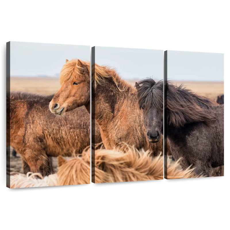 Brampt, chevaux islandais dans la campagne du douzième, H 24 po x l 38 po