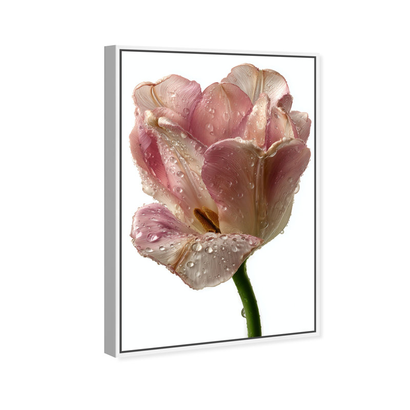Droplet Tulip II Print by Oliver Gal, 11"H x 16"W, White Floater Frame