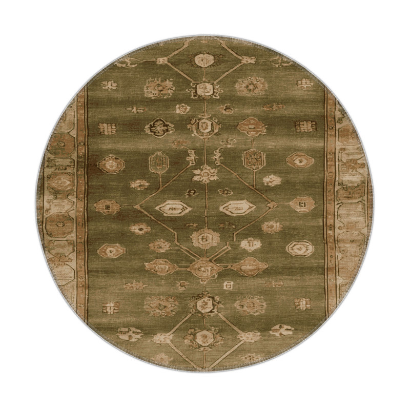 Tapis intérieur et extérieur brun Overdyed, Rond 5 pi