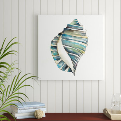 Aquarelle Shells I by Chariklia Zarris - Wrapped Canvas Painting