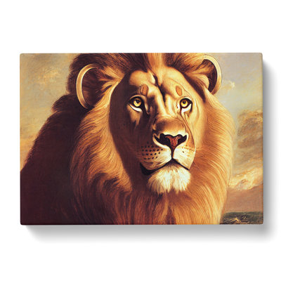 Lovely Lion - Wrapped Canvas