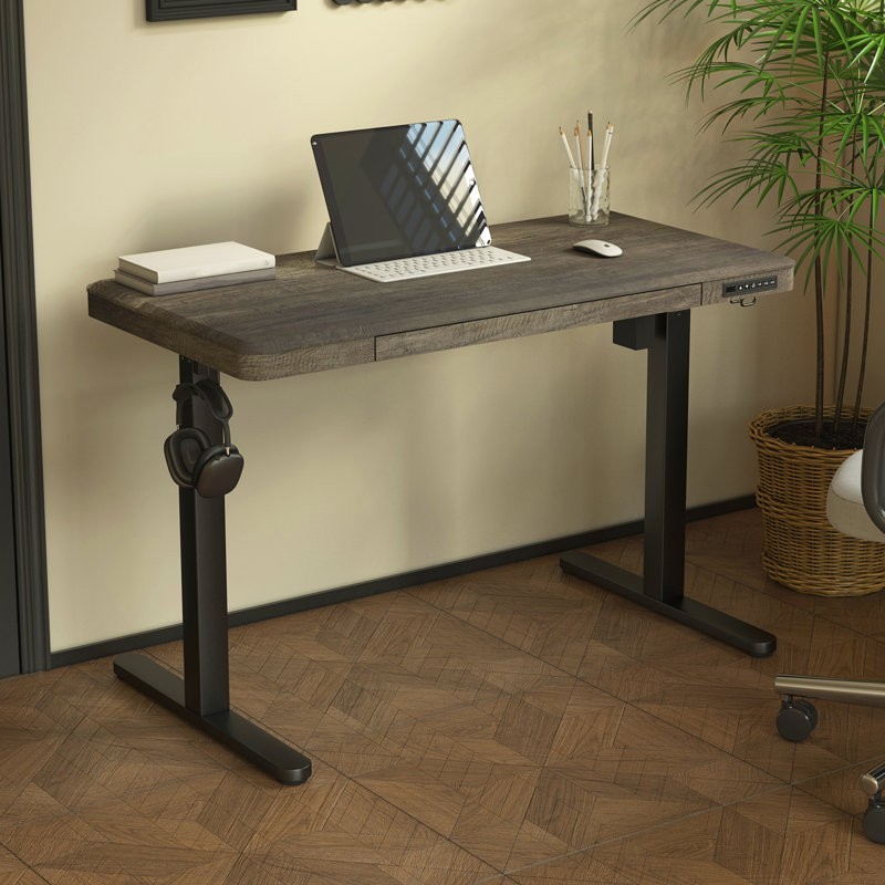 Caritta 48" Electric Height Adjustable Standing Desk with drawers, Gray Oak/Black