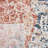 Elieser Performance Abstract Rug-1405489084