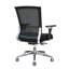 Windber Mesh Task Chair