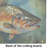 Brown Trout Glass Cutting Board Large
