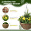 Hanging Basket Arrangement in Pot