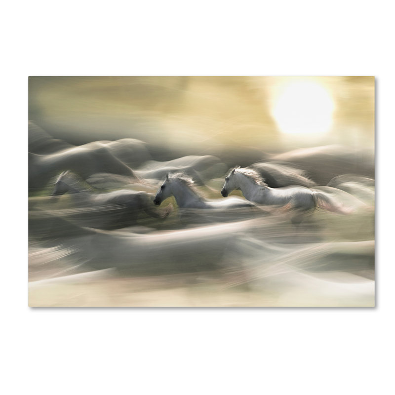 « matinée rêve », reproduction d’impression sur toile tendue, H 12 po x l 19 po