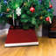 Beckwith Plastic Tree Skirt