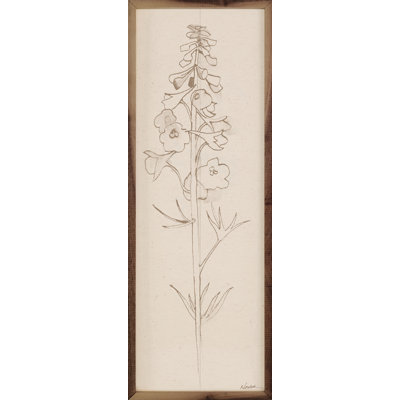 " Delphinium II Flower Stem By Shirley Novak "