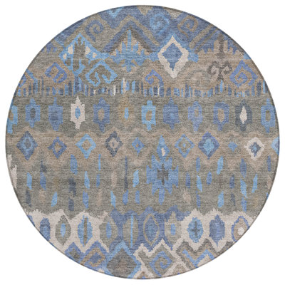 Machine Washable Indoor/Outdoor Matteson ACN2304 Casual Rug
