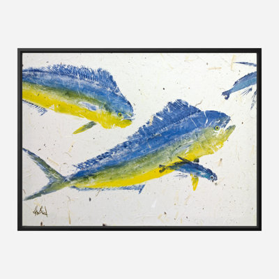 Mahi I By John Beard - Framed Gallery Wrapped Canvas Print Print by John Beard