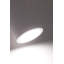 Cecelia 2-Light Up & Downlight