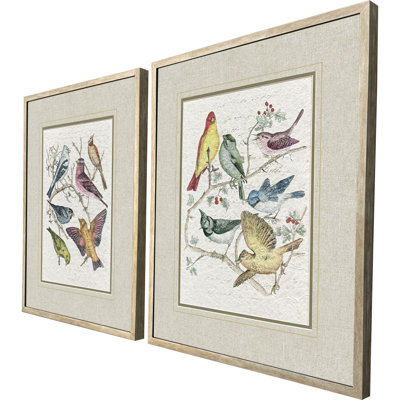 Bird Variety Framed Art