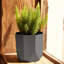 Pot à fleurs Billeaud-1915505586-1915505587
