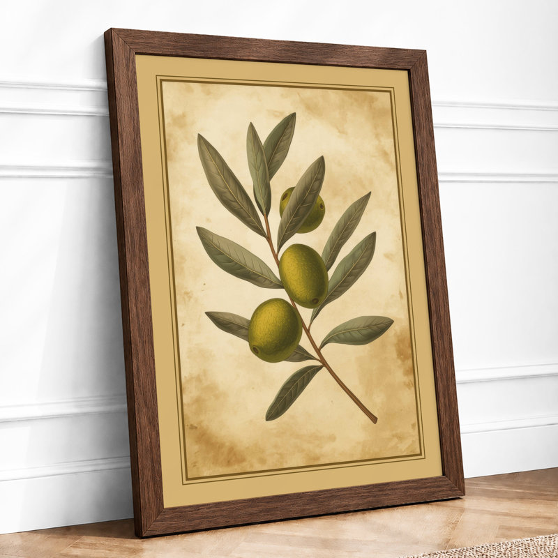 Olive Branch Study Botanical - Framed Print, A2 - 59.4 x 42.0 cm, Walnut