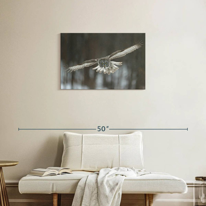 Brampt Flying Great Gray Owl, 20" H x 30" W