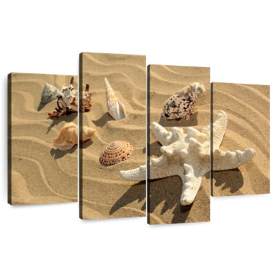 Gillard Sandy Seashells And Starfish