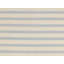 Striped Area Rug in Beige/Light Gray
