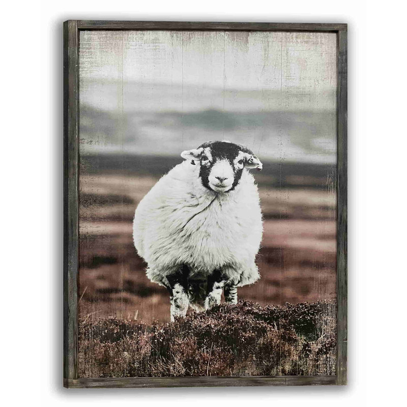 Graceful Standing Sheep On Canvas Print, H 24 po x l 36 po x P 1,5 po