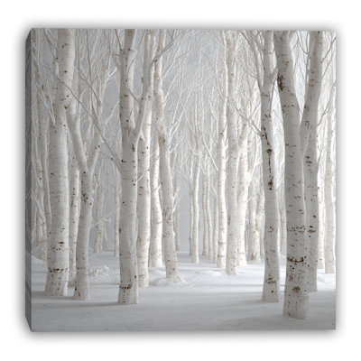 «White Birch Snow Silence», art mural sur toile tendue