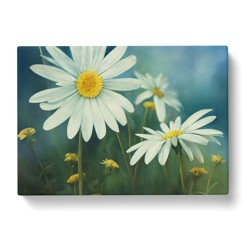 Elegant Daisy Flowers - Wrapped Canvas, 50cm H x 76cm W x 3cm D