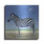 «Morning Moon» par Durwood Coffey-1699315007