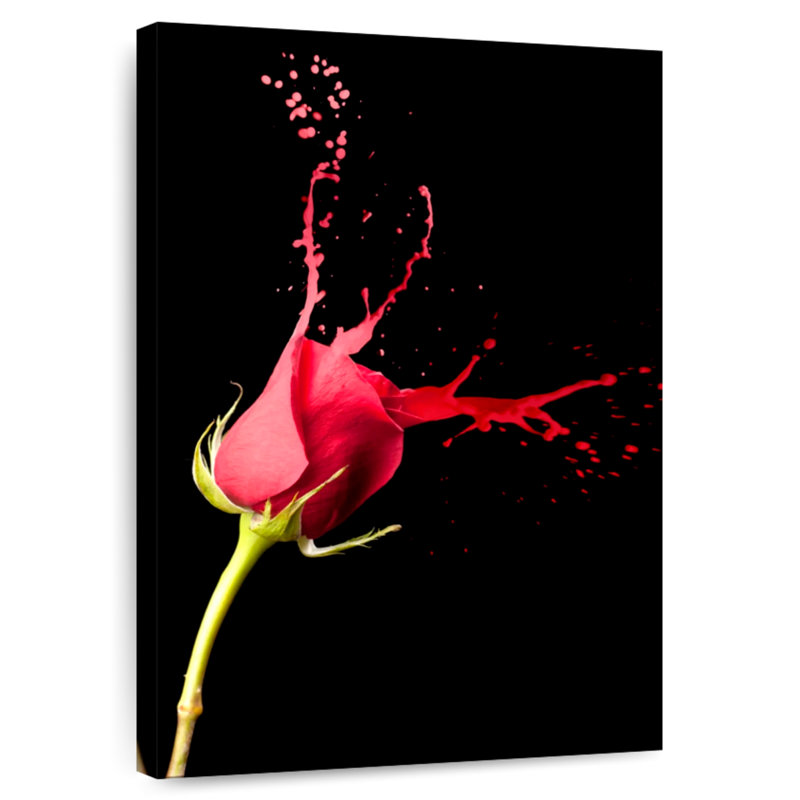 Harnek Red Rose Splash, 24" H x 16" W