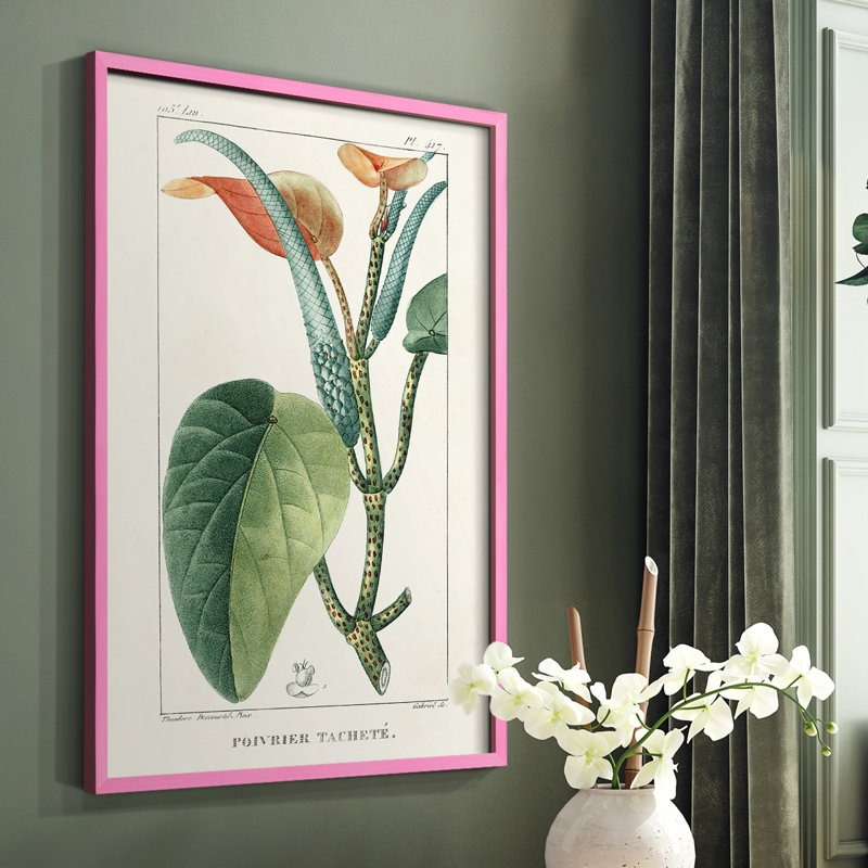 Turpin Tropical Botanicals II Framed Print - Solid Wood, 10" H x 8" W, Pink