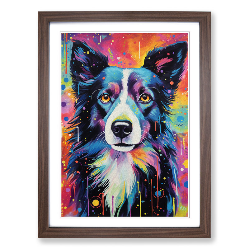 Border Collie Tachisme - Framed Print, 46cm H x 34cm W x 2cm D, Walnut Framed