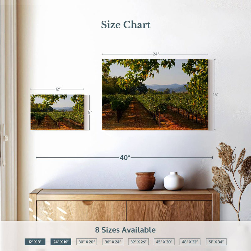 Alvord Napa Vineyard Sunset, H 16 po x l 24 po