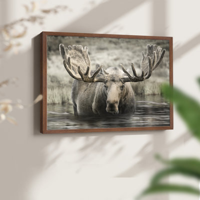 Moose Hot Springs -Framed Print - Restickable
